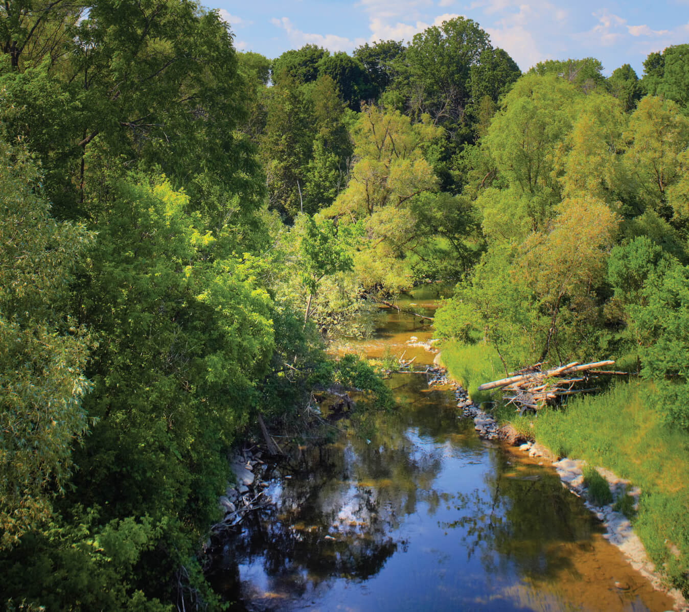 Overhead view of a still creek at Rouge National Urban Park In summer.